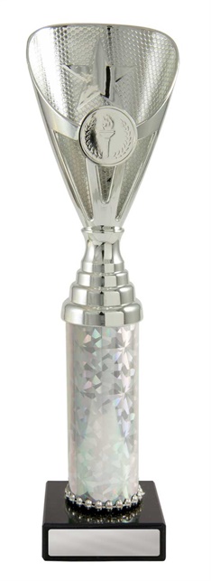 245s-1_discount-general-sports-trophies.jpg