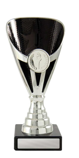 245sbk-1_discount-general-sports-trophies.jpg