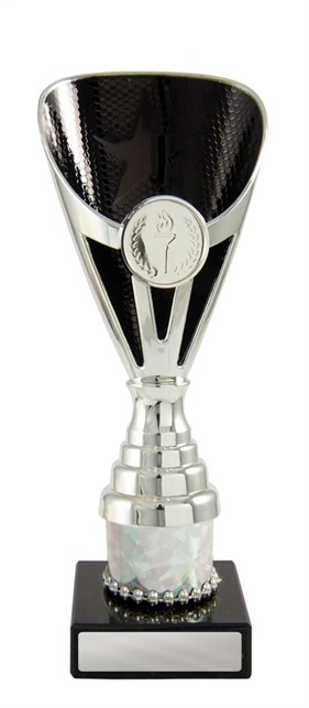 245sbk-1_discount-general-sports-trophies.jpg