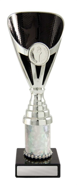 245sbk-1_discount-general-sports-trophies.jpg