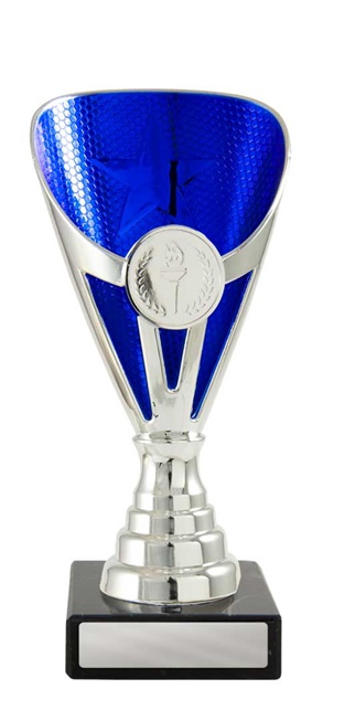 245sbu-1_discount-general-sports-trophies.jpg