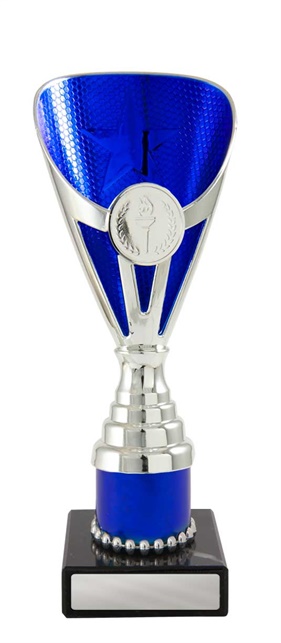 245sbu-1_discount-general-sports-trophies.jpg
