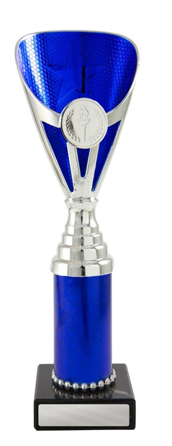 245sbu-1_discount-general-sports-trophies.jpg