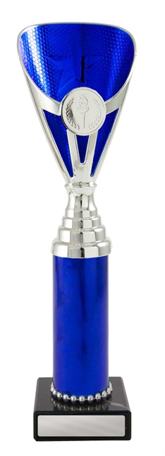 245sbu-1_discount-general-sports-trophies.jpg