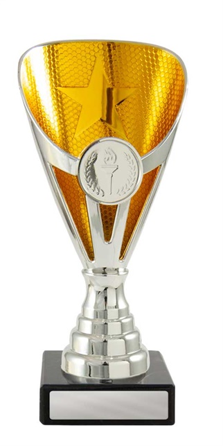 245sg-1_discount-general-sports-trophies.jpg