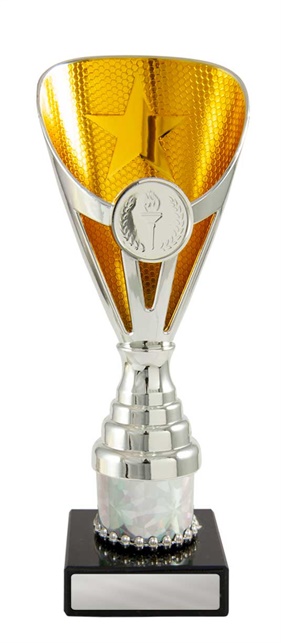 245sg-1_discount-general-sports-trophies.jpg