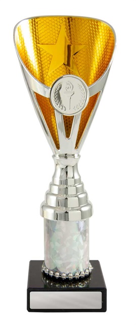 245sg-1_discount-general-sports-trophies.jpg