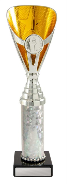 245sg-1_discount-general-sports-trophies.jpg