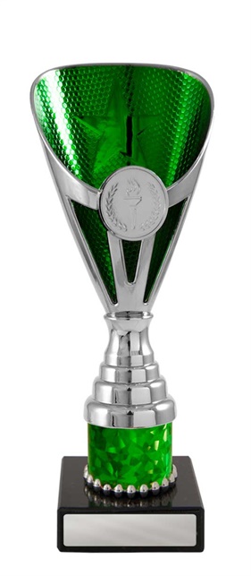 245sgn-1_discount-general-sports-trophies.jpg