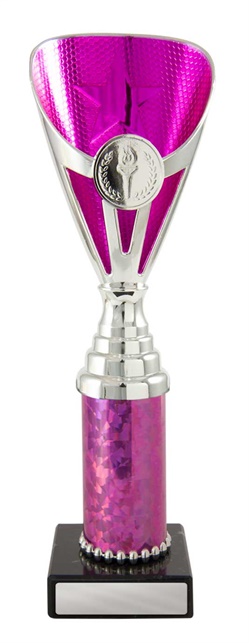 245spk-1_discount-general-sports-trophies.jpg