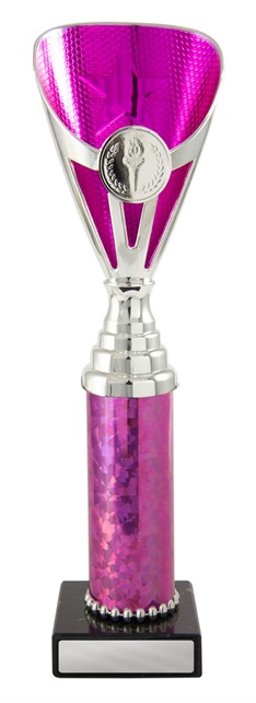 245spk-1_discount-general-sports-trophies.jpg
