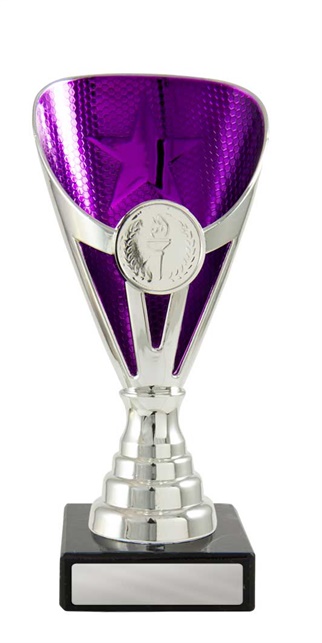 245spu-1_discount-general-sports-trophies.jpg