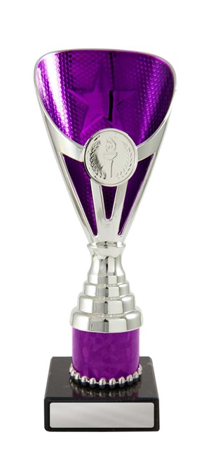 245spu-1_discount-general-sports-trophies.jpg