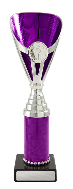 245spu-1_discount-general-sports-trophies.jpg