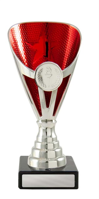 245sr-1_discount-general-sports-trophies.jpg