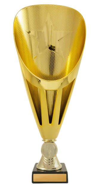 246g-1_discount-general-sports-trophies.jpg