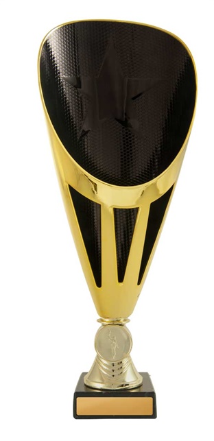 246gbk-1_discount-general-sports-trophies.jpg