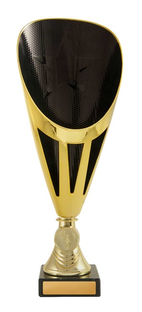 246gbk-1_discount-general-sports-trophies.jpg