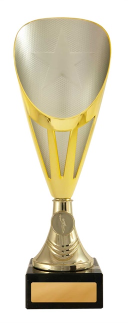 246gs-1_discount-general-sports-trophies.jpg