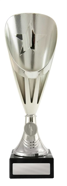 246s-1_discount-general-sports-trophies.jpg