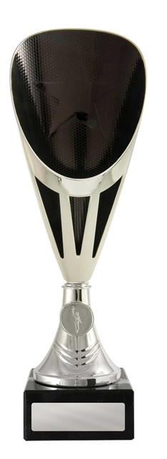 246sbk-1_discount-general-sports-trophies.jpg