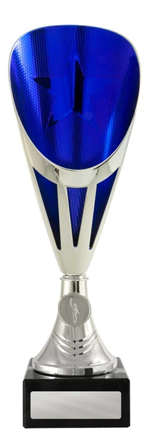 246sbu-1_discount-general-sports-trophies.jpg