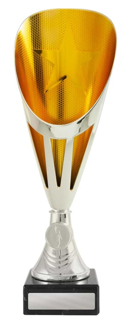 246sg-1_discount-general-sports-trophies.jpg