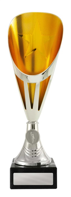 246sg-1_discount-general-sports-trophies.jpg