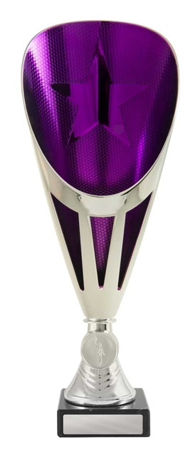 246spu-1_discount-general-sports-trophies.jpg