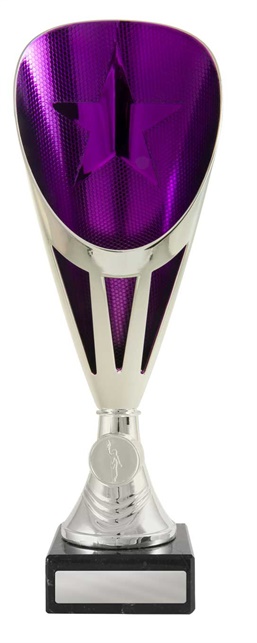 246spu-1_discount-general-sports-trophies.jpg