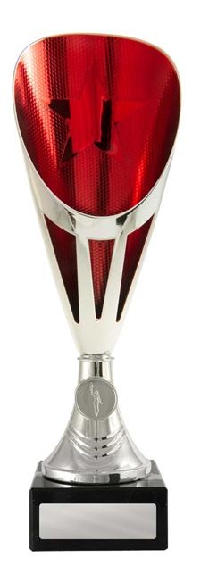 246sr-1_discount-general-sports-trophies.jpg