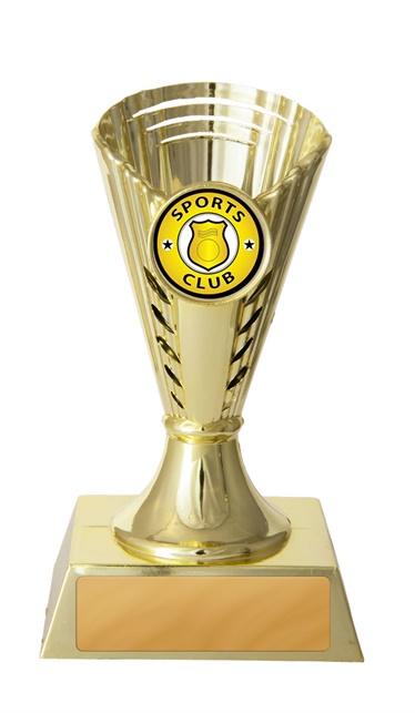 248g_discount-dance-trophies.jpg