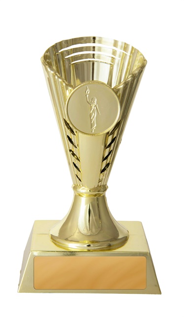 248g_discount-dance-trophies.jpg