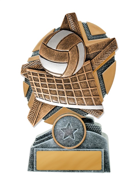 24a-rs13_discount-volleyball-trophies.jpg