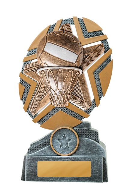 24a-rs8_discount-netball-trophies.jpg