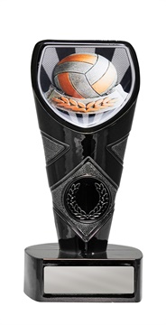 25bkb-cs13_discount-volleyball-trophies.jpg