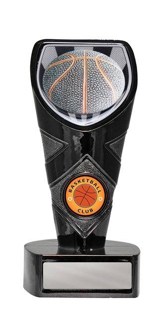 25bkb-cs7_discount-basketball-trophies.jpg