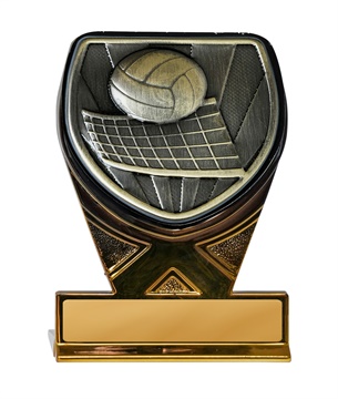 25gbka-ms13g_discount-volleyball-trophies.jpg