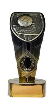 25gbkb-ms13g_discount-volleyball-trophies.jpg