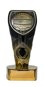 25gbkb-ms8b_discount-netball-trophies.jpg
