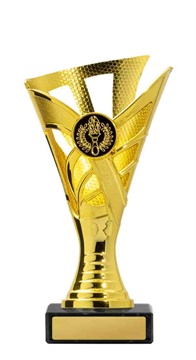 267g-1_discount-general-sports-trophies.jpg