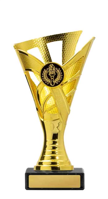 267g-1_discount-general-sports-trophies.jpg