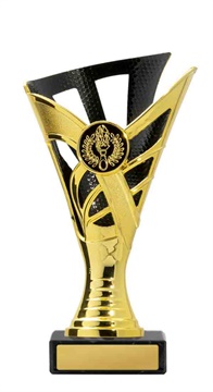 267gbk-1_discount-general-sports-trophies.jpg