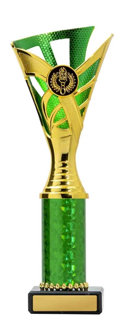 267ggn-1_discount-general-sports-trophies.jpg