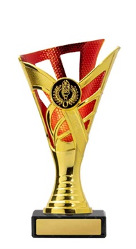 267gr-1_discount-general-sports-trophies.jpg