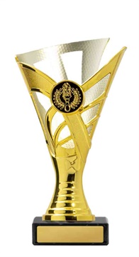 267gs-1_discount-general-sports-trophies.jpg