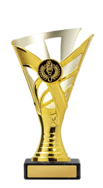 267gs-1_discount-general-sports-trophies.jpg