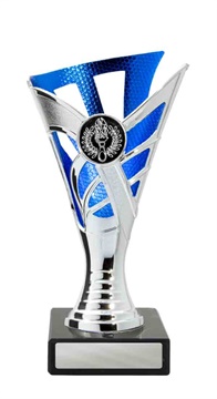 267sbu-1_discount-general-sports-trophies.jpg