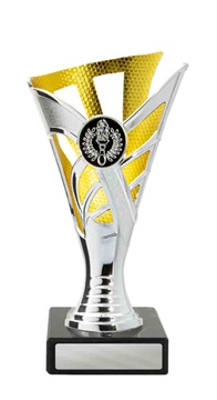 267sg-1_discount-general-sports-trophies.jpg