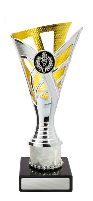 267sg-1_discount-general-sports-trophies.jpg